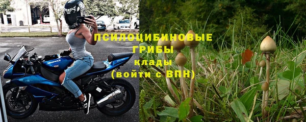 ECSTASY Бронницы