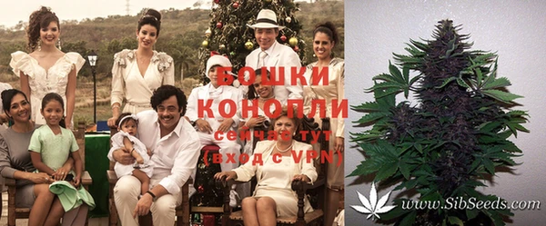 молекула духа Бородино