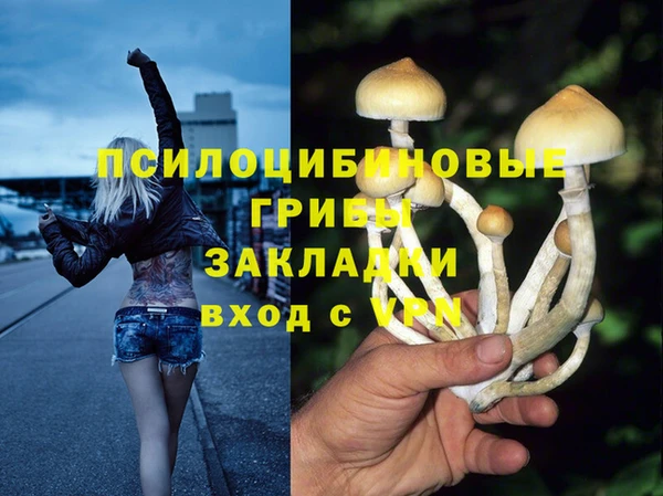 молекула духа Бородино
