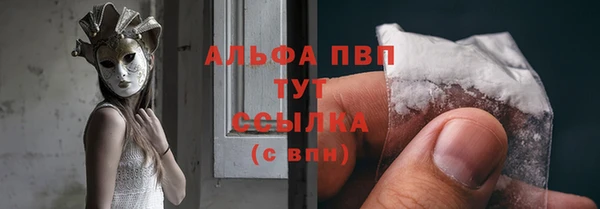 молекула духа Бородино
