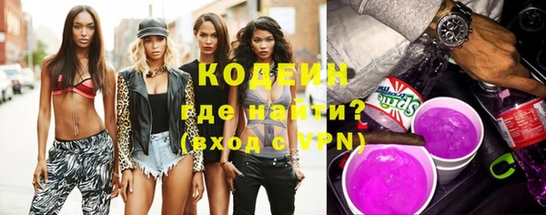 молекула духа Бородино