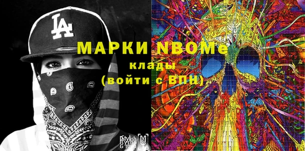 молекула духа Бородино
