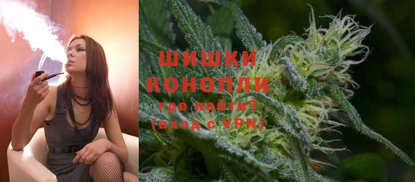 молекула духа Бородино