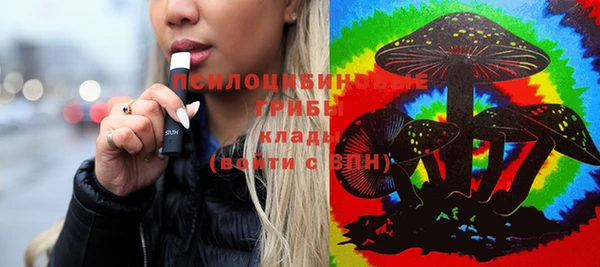 молекула духа Бородино