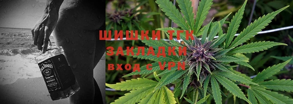молекула духа Бородино
