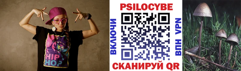 ОМГ ОМГ зеркало  цена   Новоржев  Галлюциногенные грибы Cubensis 