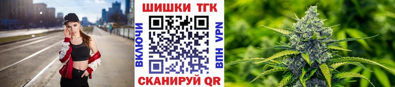 Конопля сатива  что такое наркотик  Новоржев 